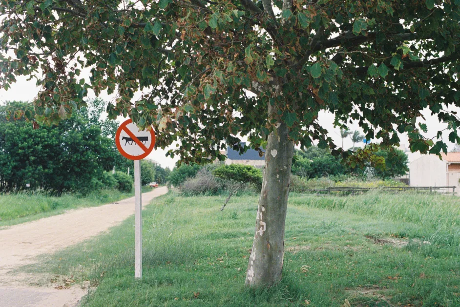 O problema com bloqueadores de anúncios